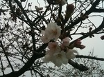 s-IMG_0225.jpg
